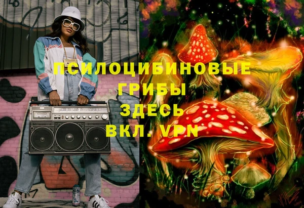 не бодяженный Арсеньев